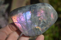 Polished Rare Purple Flash Labradorite Standing Free Forms x 4 From Tulear, Madagascar