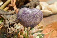 Polished Purple Lepidolite Mica Hearts  x 6 From Madagascar - TopRock