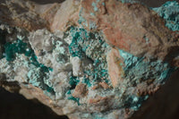 Natural Semi Crystalline Dioptase Specimens  x 2 From Grootfontein, Namibia