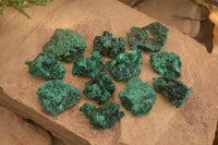 Natural Chatoyant Silky Malachite Specimens  x 12 From Congo