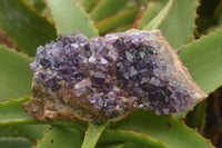 Natural Amethyst Crystal Centred Geodes  x 6 From Zululand, South Africa - TopRock