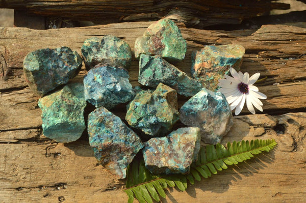 Natural Rough Blue Shattuckite Specimens  x 12 From Namibia - TopRock