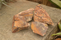 Natural Medium Cobbed Nguni Jasper Pieces - sold per 5 kg - From Northern Cape, South Africa - TopRock