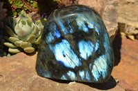 Polished Labradorite Standing Free Forms With Intense Blue & Gold Flash x 2 From Sakoany, Madagascar - TopRock