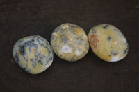 Polished Dendritic Green Opal Palm Stones  x 12 From Madagascar - Toprock Gemstones and Minerals 