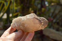 Natural New Smokey Quartz Crystal Specimens  x 6 From Mt. Mulanje, Malawi - TopRock