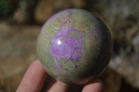 Polished Stichtite & Serpentine Spheres x 2 From Barberton, South Africa