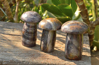 Polished Lithium Mica Mushroom Carvings  x 6 From Zimbabwe - TopRock