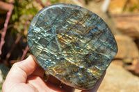 Polished Labradorite Standing Free Forms With Intense Blue & Gold Flash x 2 From Sakoany, Madagascar - TopRock