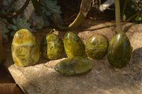 Polished  Green Opal Standing Free Forms  x 6 From Antsirabe, Madagascar