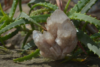 Natural Cascading White Phantom Smokey Quartz Clusters x 6 From Luena, Congo