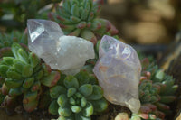 Natural Jacaranda Amethyst Crystals x 35 From Mumbwe, Zambia