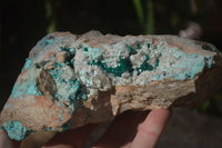 Natural Semi Crystalline Dioptase Specimens  x 2 From Grootfontein, Namibia