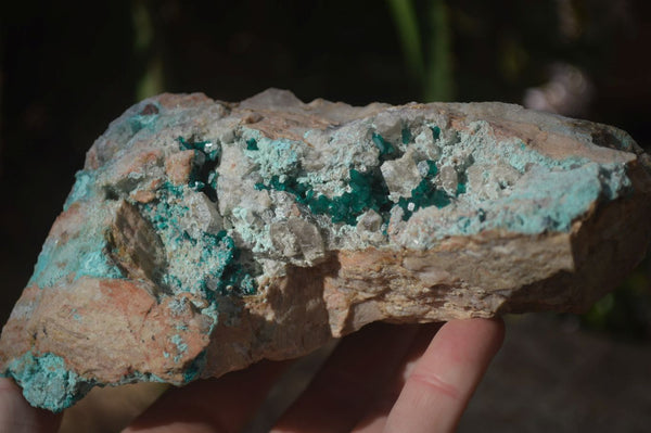 Natural Semi Crystalline Dioptase Specimens  x 2 From Grootfontein, Namibia