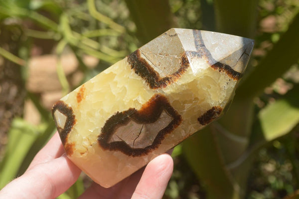 Polished Septaria (Yellow Calcite & Aragonite) Points x 2 From Mahajanga, Madagascar - TopRock