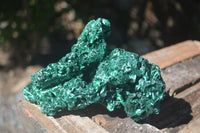 Natural Chatoyant Silky Malachite Specimens  x 2 From Congo - Toprock Gemstones and Minerals 