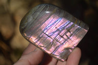 Polished Rare Purple Flash Labradorite Standing Free Forms x 4 From Tulear, Madagascar