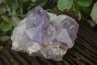 Natural Jacaranda Amethyst Clusters  x 3 From Mumbwa, Zambia - Toprock Gemstones and Minerals 