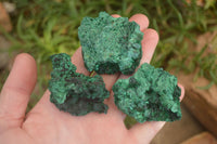 Natural Chatoyant Silky Malachite Specimens  x 12 From Congo