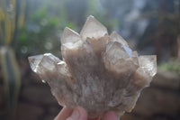 Natural Cascading Smokey Quartz Clusters x 2 From Luena, Congo