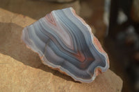 Polished Banded River Agate Nodules (A Grade) x 6 From Sashe River, Zimbabwe - Toprock Gemstones and Minerals 