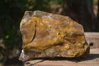 Natural Rough Nguni Jasper Specimens  x 3 From Northern Cape, South Africa - Toprock Gemstones and Minerals 