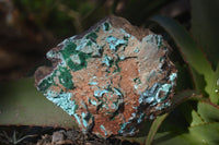 Natural Drusy Coated Chrysocolla & Malachite On Copper Dolomite x 2 From Likasi, Congo