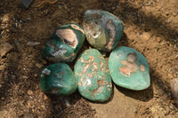 Polished Green Chrome / Emerald Chrysoprase Free Form Palm Stones   x 20 From Zimbabwe - TopRock