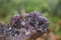 Natural Amethyst Crystal Centred Geodes  x 6 From Zululand, South Africa - TopRock