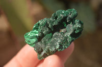 Natural Chatoyant Silky Malachite Specimens  x 12 From Congo