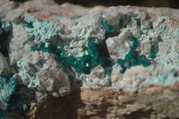 Natural Semi Crystalline Dioptase Specimens  x 2 From Grootfontein, Namibia