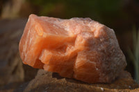 Natural New Sunset Orange Calcite Specimens  x 12 From Spitzkop, Namibia - Toprock Gemstones and Minerals 