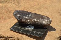 Natural New Smokey Quartz Crystal Specimens  x 6 From Mt. Mulanje, Malawi - TopRock