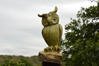 Polished Large Hand Carved Leopard Stone Owl Sculpture x 1 From Zimbabwe - TopRock