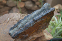 Natural Golden Blue Tigers Eye Specimens  x 2 From Prieska, South Africa - TopRock