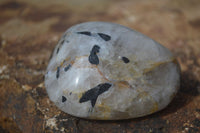 Polished Tourmalinated Quartz Free Forms  x 8 From Karibib, Namibia - TopRock