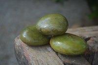 Polished Large Green Opal Palm Stones  x 12 From Madagascar - Toprock Gemstones and Minerals 