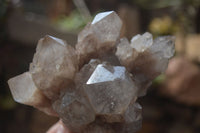 Natural Cascading Smokey Quartz Clusters x 2 From Luena, Congo