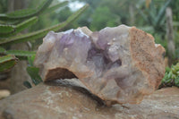 Natural Jacaranda Amethyst Cluster x 1 From Mumbwa, Zambia - TopRock