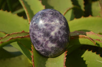 Polished Purple Lepidolite Palm Stones  x 12 From Zimbabwe