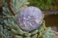 Polished Purple Lepidolite With Pink Tourmaline Points  x 12 From Madagascar - TopRock