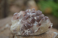 Natural Red Hematoid Phantom Quartz Crystals & Clusters  x 6 From Karoi, Zimbabwe - Toprock Gemstones and Minerals 