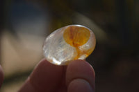 Polished Golden Healer Hematoid Quartz Galet / Palm Stones x 35 From Madagascar