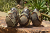 Polished Septaria Dragon's Eggs (Calcite & Aragonite) x 5 From Mahajanga, Madagascar - TopRock