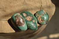 Polished Green Chrome / Emerald Chrysoprase Free Form Palm Stones   x 20 From Zimbabwe - TopRock