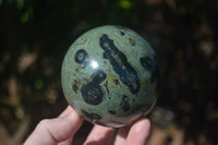 Polished Stromatolite / Kambamba Jasper Spheres  x 2 From Madagascar - Toprock Gemstones and Minerals 