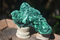 Natural Chatoyant Silky Malachite Specimens  x 2 From Congo - Toprock Gemstones and Minerals 