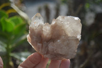 Natural Cascading White Phantom Smokey Quartz Clusters x 6 From Luena, Congo