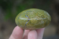 Polished Large Green Opal Palm Stones  x 12 From Madagascar - Toprock Gemstones and Minerals 