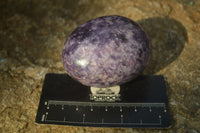 Polished Purple Lepidolite Palm Stones  x 12 From Zimbabwe